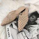 Pointy Dotted Mesh Flat Mules