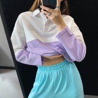 Coloblock Loose-fit Cropped Polo Sweatshirt