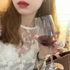 Long-sleeve See-through Lace Sheer Top As Figure - One Size