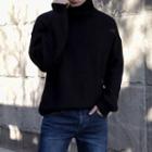 Turtle-neck Loose-fit Rib-knit Sweater
