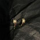 Flower Moonstone Alloy Earring 1 Pair - White Moonstone - Gold - One Size