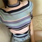 Short-sleeve Striped Knit Top Stripes - Multicolor - One Size