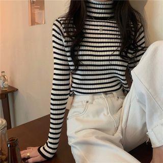 Turtleneck Two Tone Ribbed Knit Top