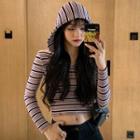 Hooded Striped Cropped Knit Top