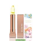 Glamfox - Fleurissant Lip Glow (#01 Green Flower) 3.3g