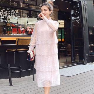 Mock-neck Long-sleeve Midi Mesh Dress