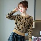 Leopard Print Round-neck Sweater