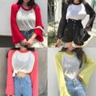 Color Panel Raglan Long Sleeve Sheer T-shirt