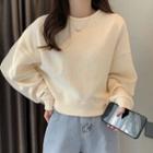 Crew-neck Loose-fit Cropped Sweatshirt