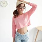 Long-sleeve Cropped Top