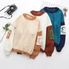 Bear Print Color Block Sweater