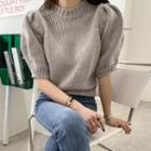 Puff-sleeve Crew-neck Knit Top One Size