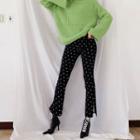 Elasticized-waist Boot-cut Polka-dot Pants Black - One Size