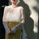 Lace See-through Long-sleeve Top As Figure - One Size