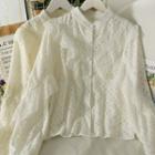 Mesh Ruffle-trim Loose Lace Shirt