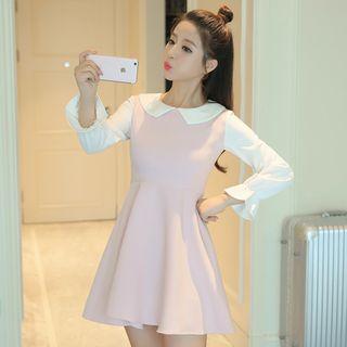 Frill Sleeve Panel Collared Dress