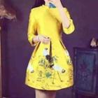 Printed Stand Collar Long-sleeve A-line Dress