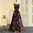 Sleeveless Mesh Panel Floral Print A-line Evening Gown