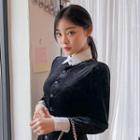 Lace-collar Flared Velvet Shirtdress