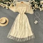 Short-sleeve Embroidered Mesh Overlay Midi A-line Dress