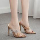 Clear Strap Buckled High Heel Sandals