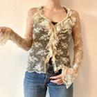 See-through Round Neck Lace Long Sleeve Top