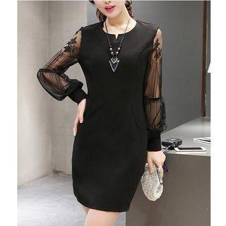 Sheer Long-sleeve Sheath Dress