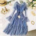 Sheer Long-sleeve A-line Midi Dress