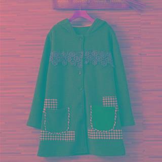 Paneled Hooded Button-up Coat