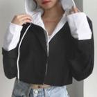 Mock Two-piece Hooded Cropped Blazer