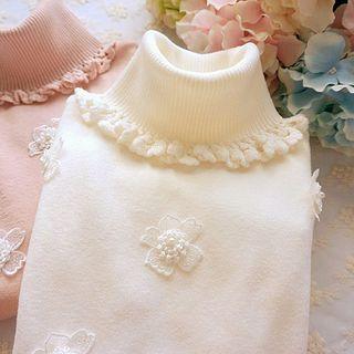 Turtleneck Applique Sweater