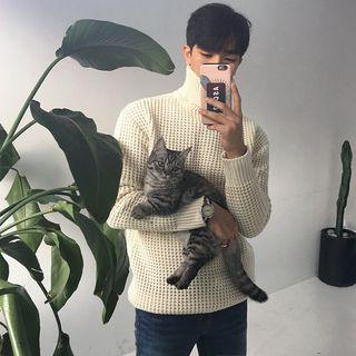 Plain Long-sleeve Turtleneck Top