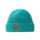 Bear Applique Knit Beanie