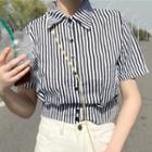 Striped Cropped Short Sleeve Shirt