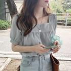 Short-sleeve V-neck Plain Sheer Blouse