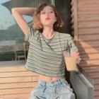 Striped Short-sleeve Cropped T-shirt Stripe - Green - One Size