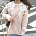 Long Sleeve Lace Blouse / Long Sleeve Plain Knit Top