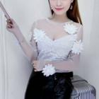 Flower Applique Mesh Long-sleeve Top