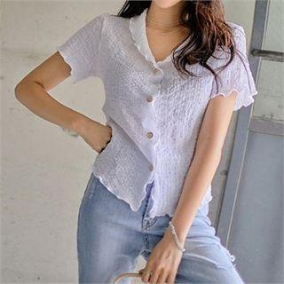 Short-sleeve Crinkled Sheer Blouse