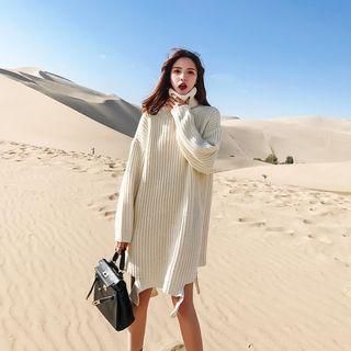 Turtleneck Distressed Knit Dress
