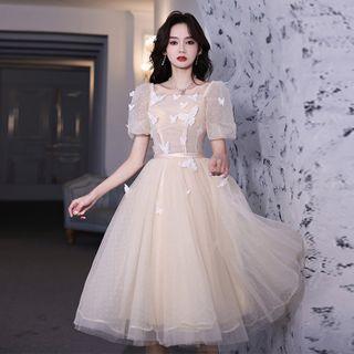 Short-sleeve Mesh A-line Evening Dress