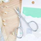Stainless Steel Eyebrow Scissors With Safety Tip