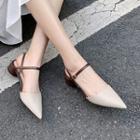 Color Block Pointed Low Heel Sandals