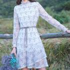 Floral Embroidered Long-sleeve A-line Mini Lace Dress