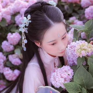 Traditional Chinese Hair Bun