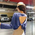 Key-hole Back Long Sleeve Cropped Top