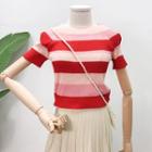 Short-sleeved Striped Knit Top Stripe - Red - One Size