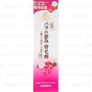 Yanagiya - Medicated Hair Tonic 150ml