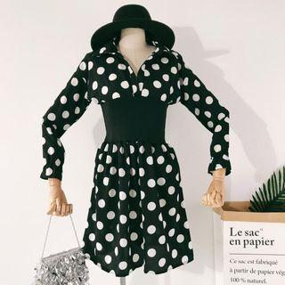 Leopard Print / Polka Dot Panel Long-sleeve A-line Dress