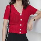 V-neck Short-sleeve Crochet Knit Top